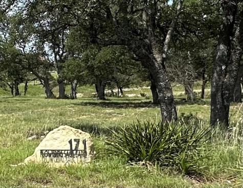 171 Flowering Sage Lane Fredericksburg TX 78624