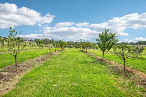 162 Flowering Sage Lane Fredericksburg TX 78624