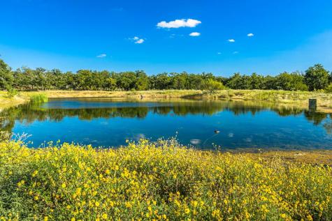 415 Mystic Oaks Trail Fredericksburg TX 78624