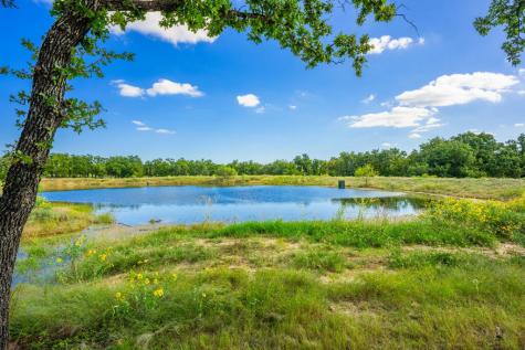 415 Mystic Oaks Trail Fredericksburg TX 78624