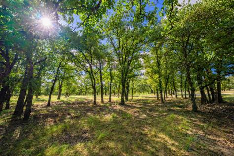 415 Mystic Oaks Trail Fredericksburg TX 78624