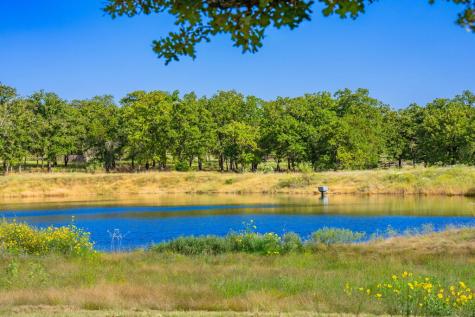 415 Mystic Oaks Trail Fredericksburg TX 78624