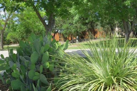 169 Royal Oaks Hill Fredericksburg TX 78624