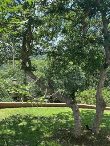 169 Royal Oaks Hill Fredericksburg TX 78624