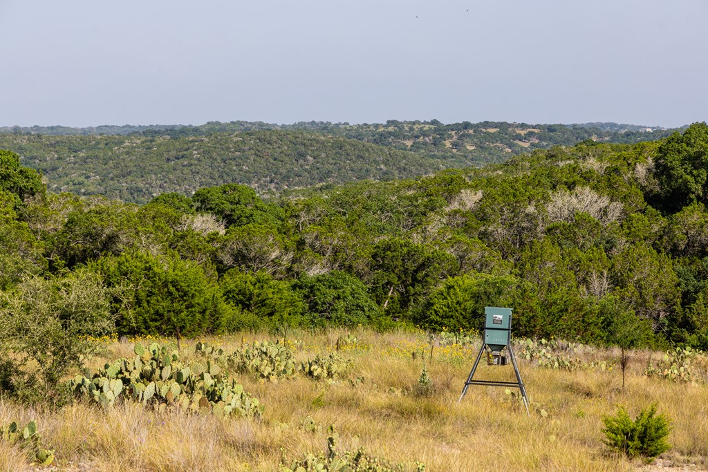 174 Cedar Rock Trail Hunt TX 78024