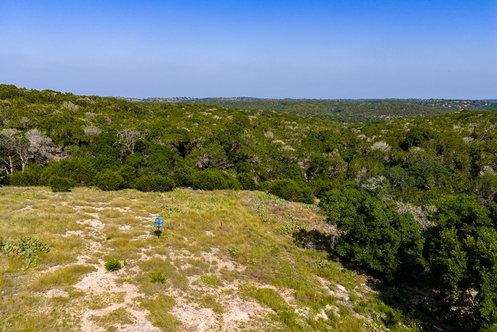 174 Cedar Rock Trail Hunt TX 78024