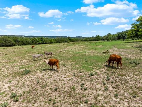 834 Northwood Hills Drive Fredericksburg TX 78624
