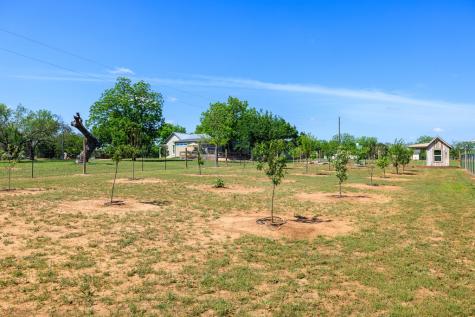308 Oakhaven Lane Fredericksburg TX 78624