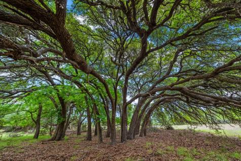 5545 Center Point Road Fredericksburg TX 78624