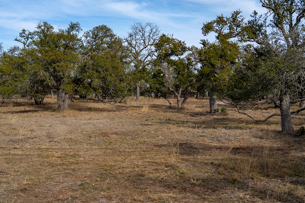 20400 Fm 2093 Fredericksburg TX 78631