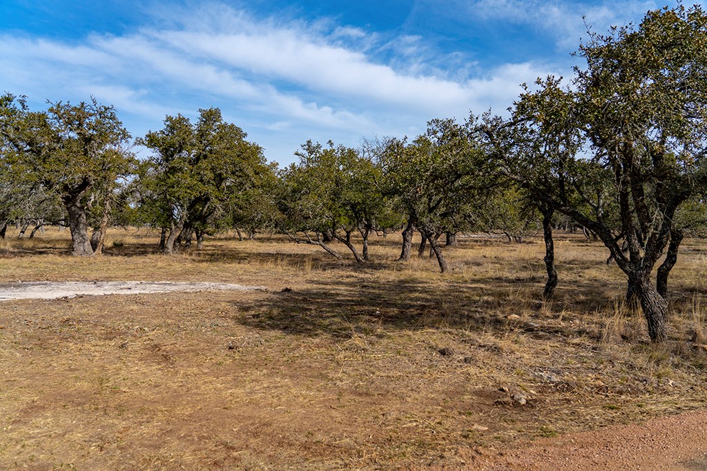 20400 Fm 2093 Fredericksburg TX 78631