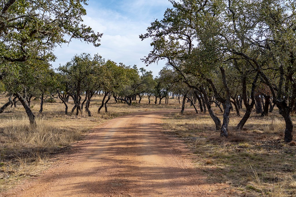20400 Fm 2093 Fredericksburg TX 78631