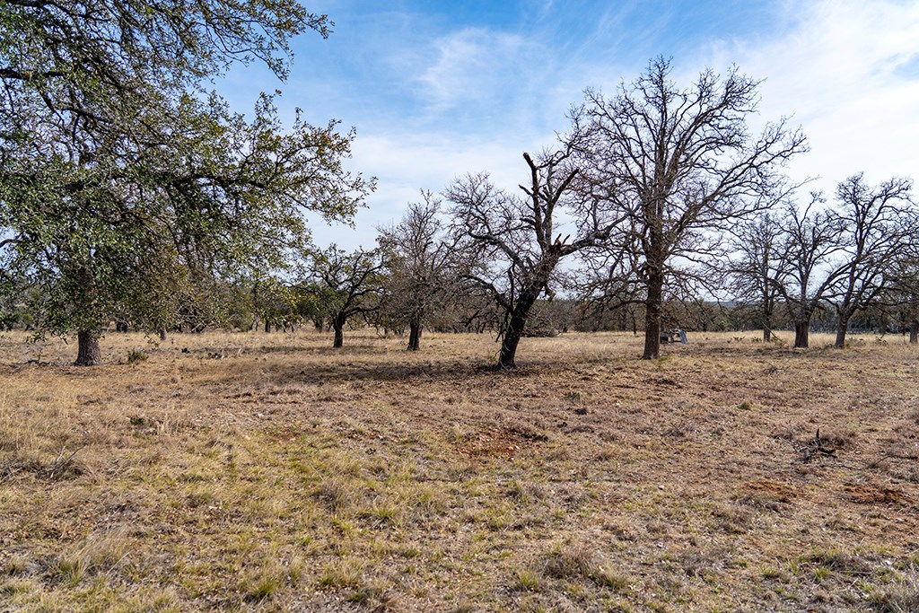 20400 Fm 2093 Fredericksburg TX 78631