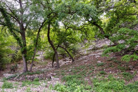 2985 Highway 39 Hunt TX 78024