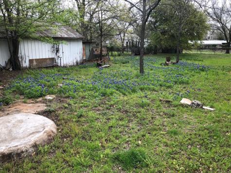 809 N Llano Street Fredericksburg TX 78624
