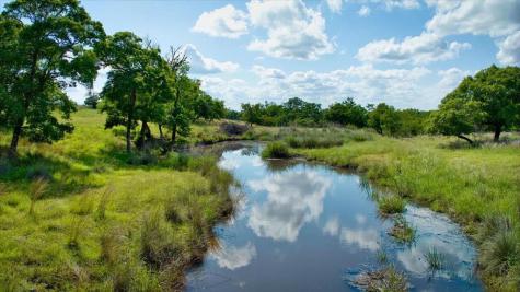 1411 Grape Creek Road Fredericksburg TX 78624