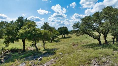 1411 Grape Creek Road Fredericksburg TX 78624