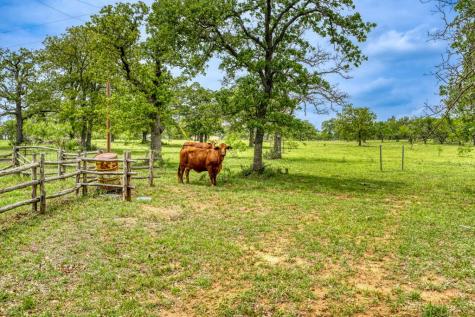 11446 N State Highway 16 Fredericksburg TX 78624