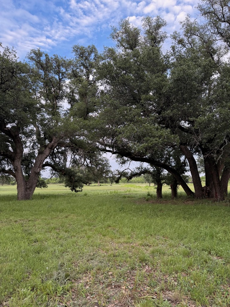 18525 N Us Highway 377 London TX 76854