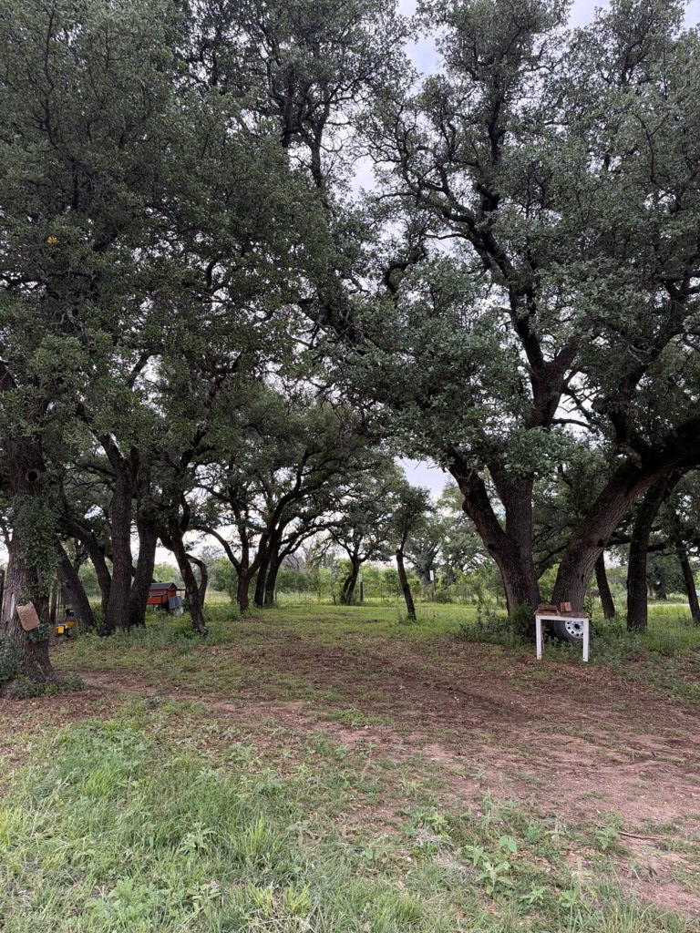 18525 N Us Highway 377 London TX 76854
