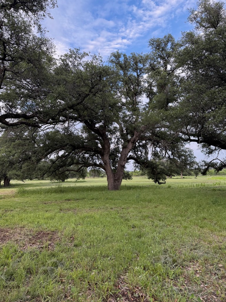 18525 N Us Highway 377 London TX 76854