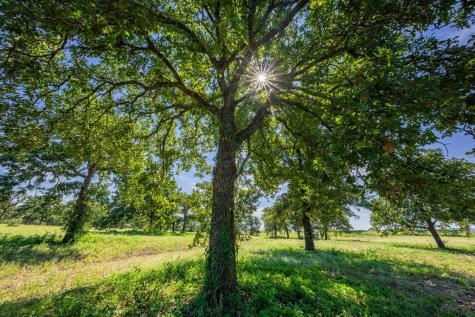 327 S Stag Trail Fredericksburg TX 78624