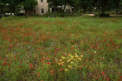 327 S Stag Trail Fredericksburg TX 78624