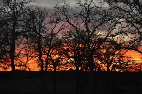 327 S Stag Trail Fredericksburg TX 78624