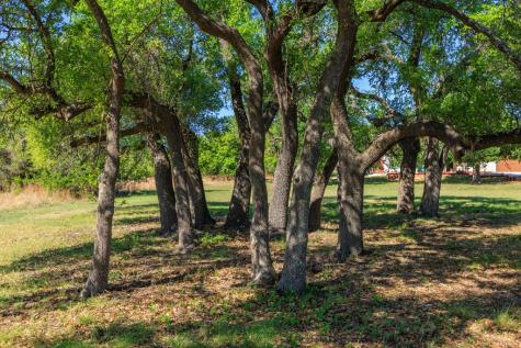1783 Axis Circle Fredericksburg TX 78624