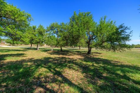 1783 Axis Circle Fredericksburg TX 78624