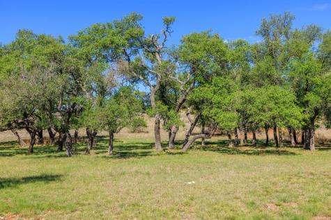 1783 Axis Circle Fredericksburg TX 78624
