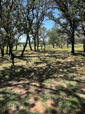 727 Cemetary Road Stonewall TX 78671