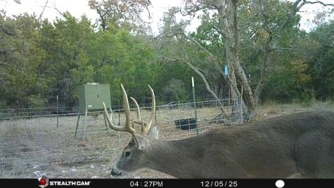 1956 Kc 373 London TX 76854