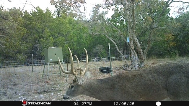 1956 Kc 373 London TX 76854