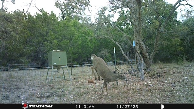 1956 Kc 373 London TX 76854