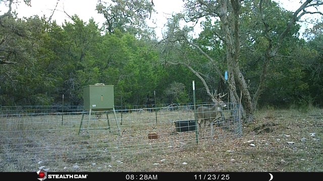 1956 Kc 373 London TX 76854