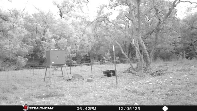 1956 Kc 373 London TX 76854