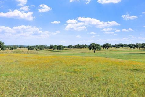 71 Granite Springs Drive Fredericksburg TX 79624