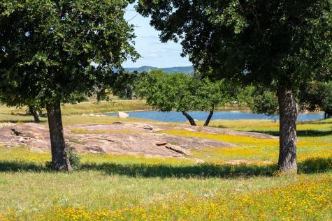 71 Granite Springs Drive Fredericksburg TX 79624