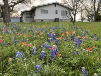 303 Walnut Street Fredericksburg TX 78624