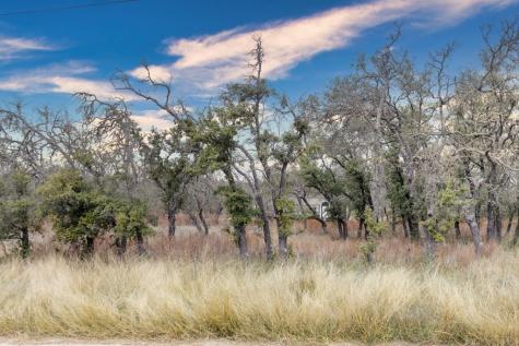 226 Outland Drive Harper TX 78631