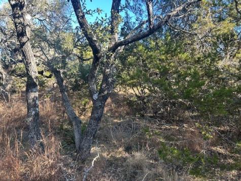 1338 Sultemeier-moellering Road Fredericksburg TX 78624