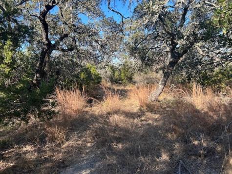 1338 Sultemeier-moellering Road Fredericksburg TX 78624
