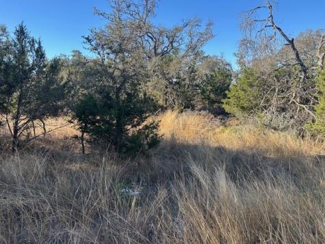 1338 Sultemeier-moellering Road Fredericksburg TX 78624
