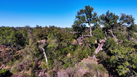132 Offer Lane Llano TX 78643