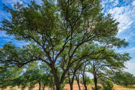 151 Kerr Canyon Pass Kerrville TX 78028