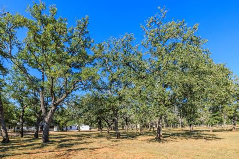 1180 Boos Lane Fredericksburg TX 78624