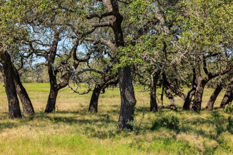 2250 Otte Road Stonewall TX 78671