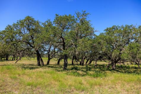 2250 Otte Road Stonewall TX 78671
