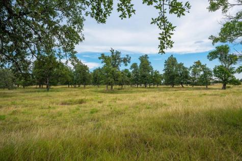1554 Vintage Oaks Drive Fredericksburg TX 78624